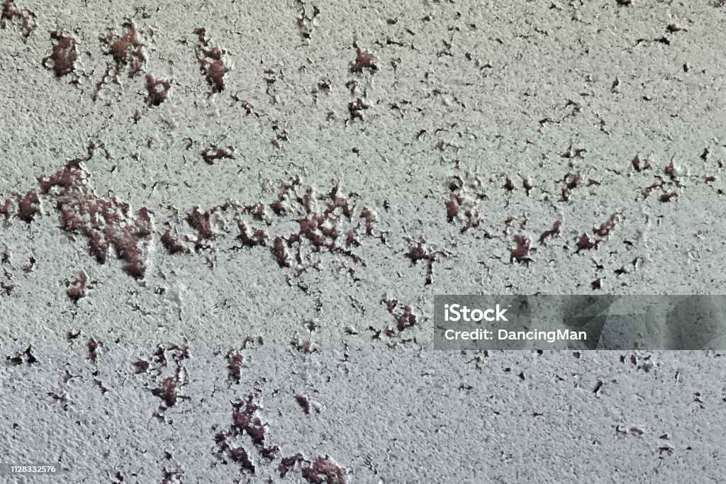 Old Patterned Plaster Pretty Old Decorative Plaster Texture For Design Purposes Stock Photo ...