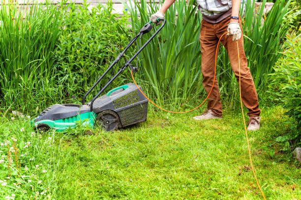 istock Man cutting green grass with lawn mower in backyard 1128336100