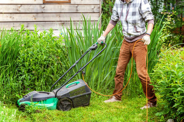 istock Man cutting green grass with lawn mower in backyard 1128336113