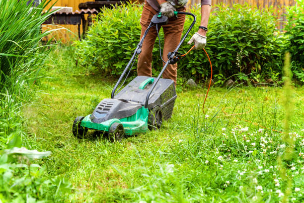 istock Man cutting green grass with lawn mower in backyard 1128336304