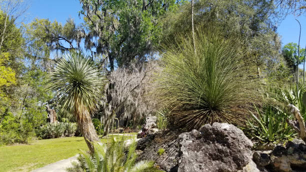 istock Central Florida Natural Gardens and Parks 1128336923