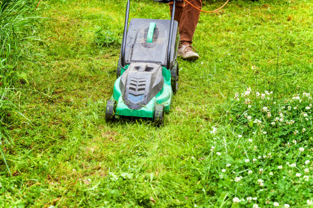 istock Man cutting green grass with lawn mower in backyard 1128336976