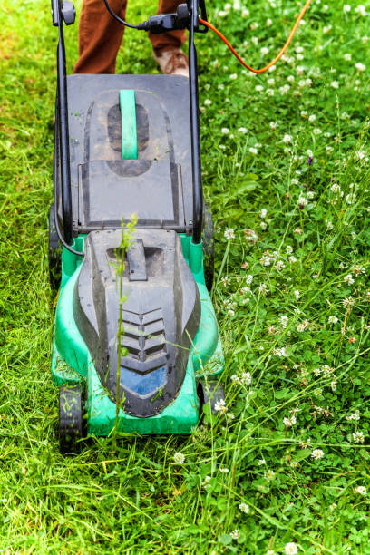 istock Man cutting green grass with lawn mower in backyard 1128337102