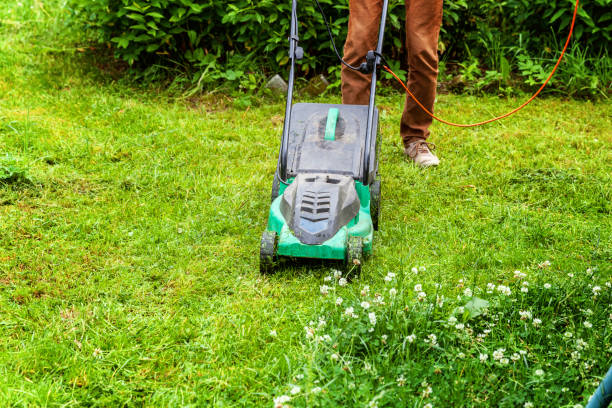 istock Man cutting green grass with lawn mower in backyard 1128337190