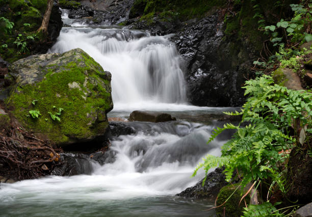 One of a number of pretty little waterfalls in the San Francisco Bay Area just minutes from Silicon Valley. Great places to get away for a day hike and just unwind, enjoying nature. Please see my portfolio for other shots in similar locales.