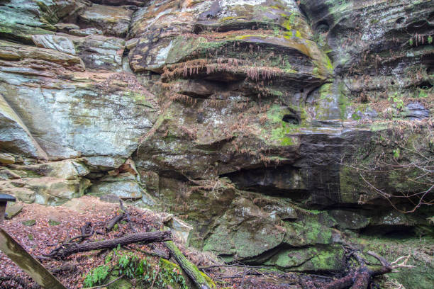 istock Hocking Hills Ohio Face In The Rock 1128341529
