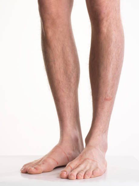 männliche behaarte beine isoliert auf weiss - hairy men sensuality human muscle stock-fotos und bilder
