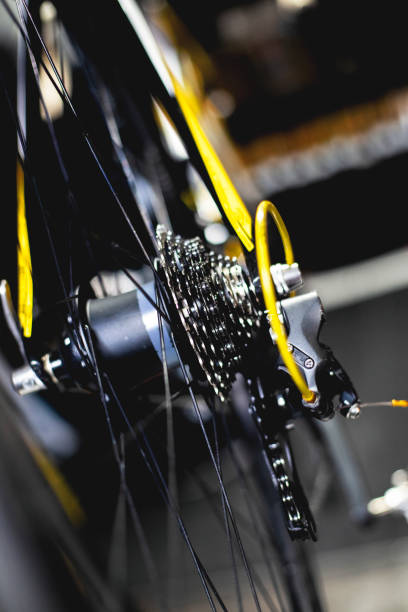 istock Man repairing bike 1128343759