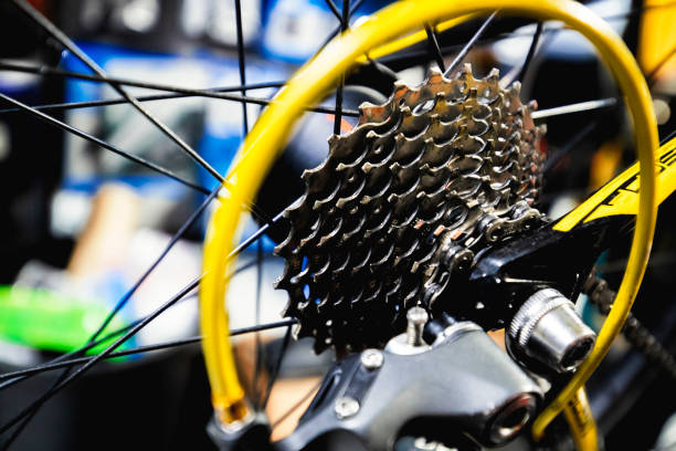 istock Man repairing bike 1128343766