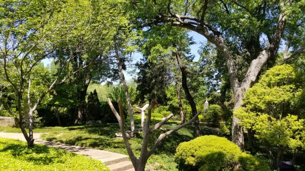 istock Visit to Fort Worth, Texas Botanic Park 1128353418