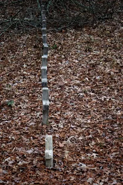 Photo of Pauper Cemetery Headstones in A Row