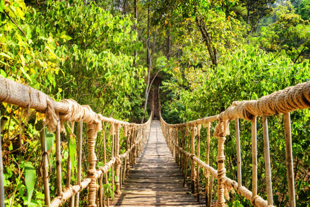 istock Beautiful footbridge made from rope and bamboo 1128365596