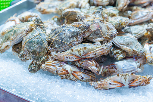 Selective focus of fresh blue swimming crab on ice at street sea food market