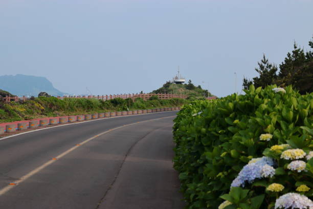 Soup, Gomandol, Coast, Road, Hydrangea is a beautiful landscape of Jeju's coast. 수국 stock pictures, royalty-free photos & images