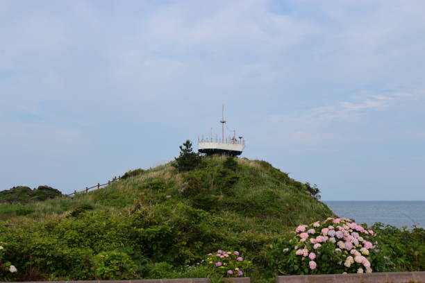 Soup, Observatory, Coast, Hydrangea is a beautiful landscape of Jeju's coast. 수국 stock pictures, royalty-free photos & images