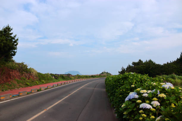 It is a landscape of jeju coast where hydrangeas bloom beautifully.