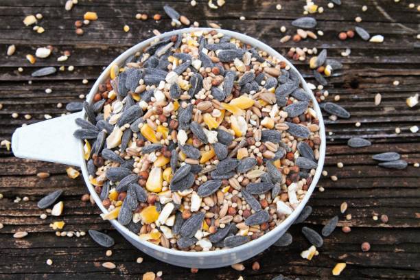 Wild bird mixed seed
