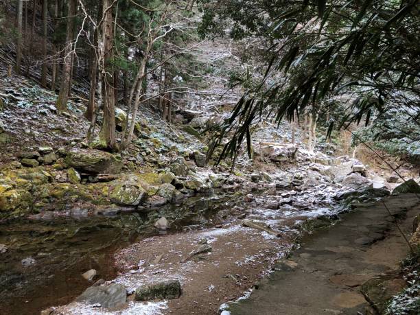 istock Japan Mie Nabari Akame waterfall winter 1128380075