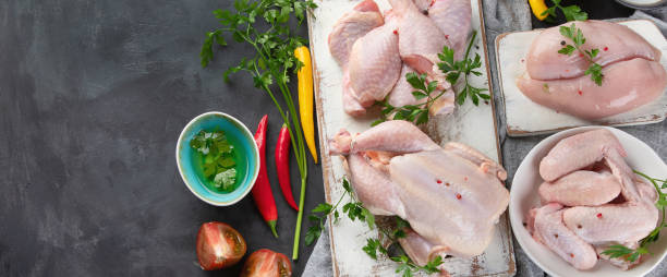istock Different types of raw chicken meat 1128381546