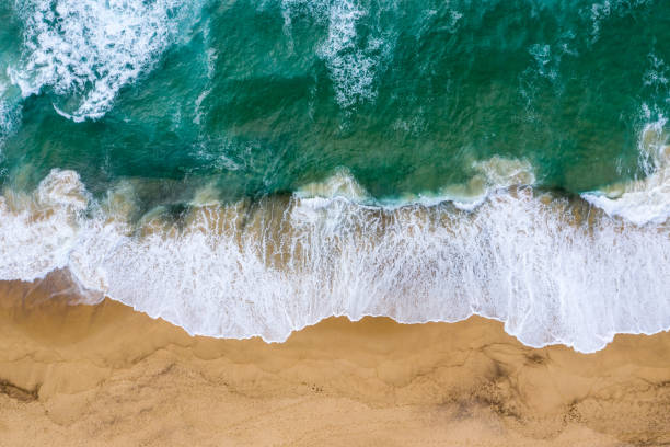 istock Top down view Dudley Beach - Newcastle NSW Australia 1128382953