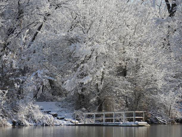 istock Winter view by the pond 1128385792