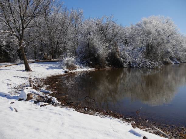istock Winter morning by the pond 1128386867