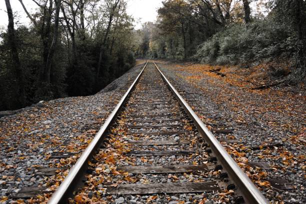 istock Rails of Tennessee 1128394179