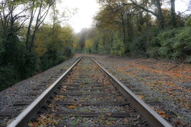 istock Rails of Tennessee 1128394310