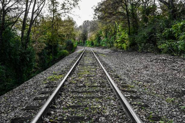 istock Rails of Tennessee 1128395199