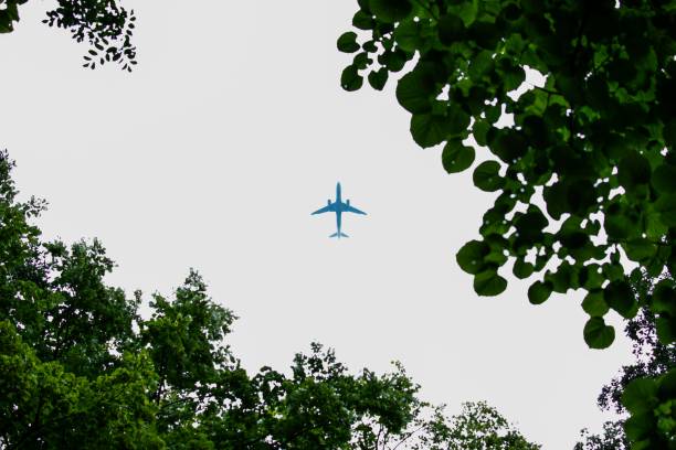 istock Airplane at the sky between trees.Travel concept. 1128395312