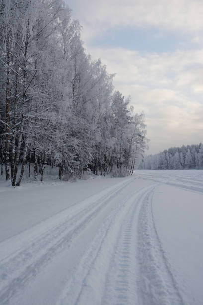verfolgen von motorschlitten vor dem hintergrund der schneebedeckten bäumen - ski trace stock-fotos und bilder