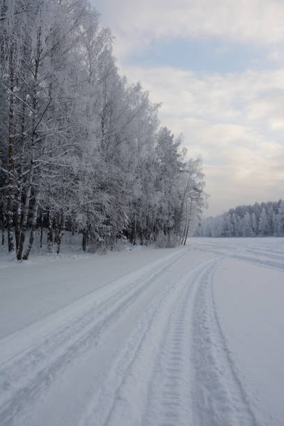 traccia dalla motoslitta sullo sfondo di alberi innevati - ski trace foto e immagini stock