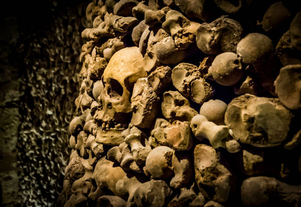 istock Skulls and bones from charnel house 1128406666