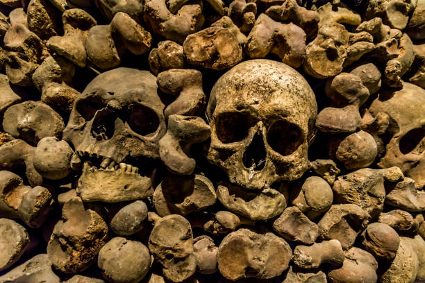 istock Skulls and bones from charnel house 1128406712
