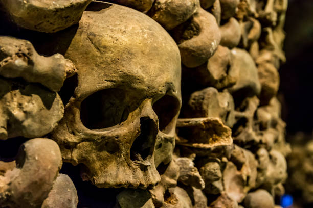 istock Skulls and bones from charnel house 1128407040