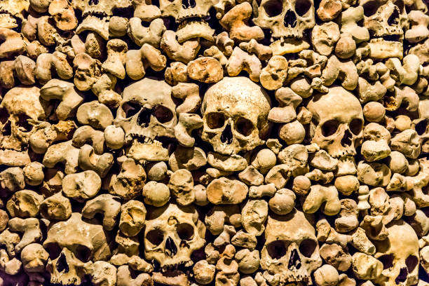 istock Skulls and bones from charnel house 1128407396