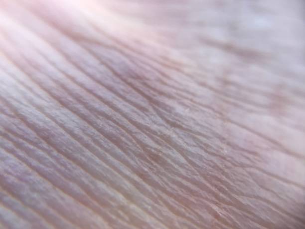 istock Human skin texture taken with macro lens 1128410920