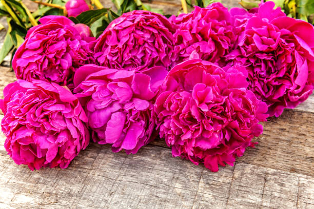 istock Floral frame with pink peonies on wooden background 1128413524