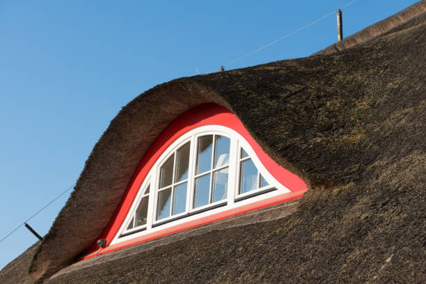 istock Details of a thatched roof 1128413534