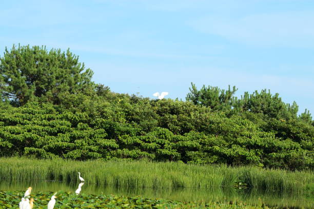 This is the view of Gotari Nail in Jeju.
