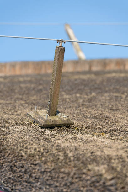 istock Details of a thatched roof 1128413544