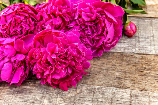 istock Floral frame with pink peonies on wooden background 1128413562