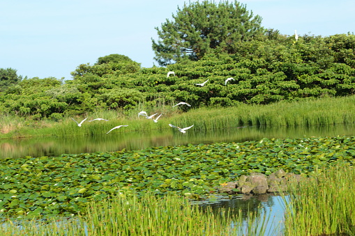 This is the view of Gotari Nail in Jeju.