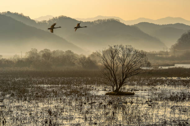 istock Landscape of dawn   VH533 1128415515