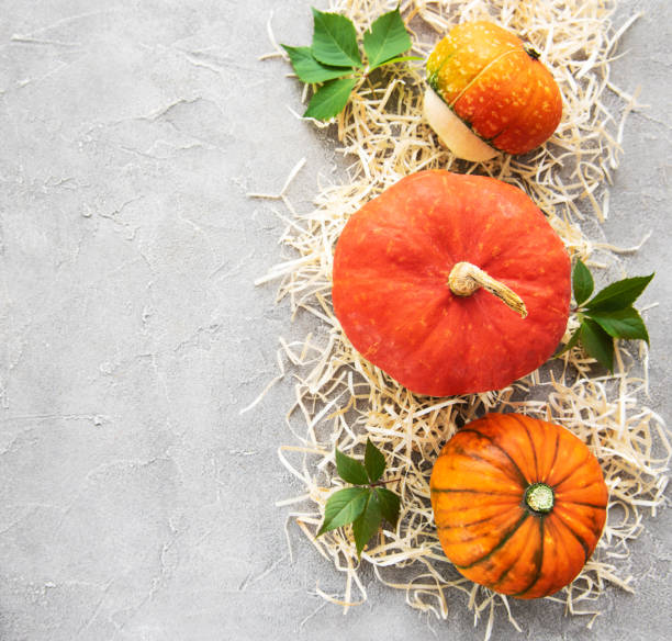istock Colorful autumn pumpkins 1128415555