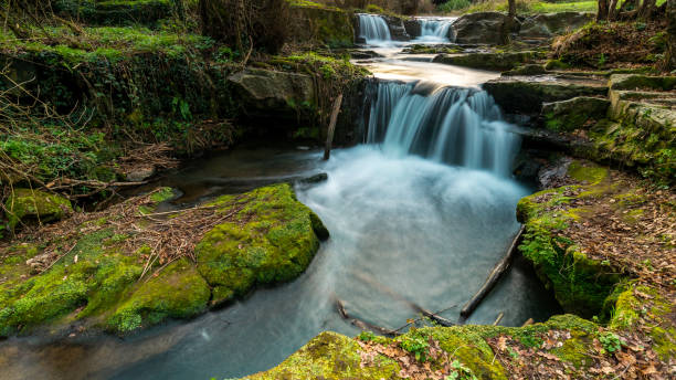 Waterfalls Waterfalls landscape located in a Natural Park in Italy. The long exposure makes more harmonious the composition albero stock pictures, royalty-free photos & images