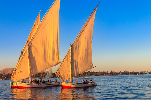 Thuyền Felucca Đi Thuyền Trên Sông Nile Ở Luxor Ai Cập Thuyền Buồm Truyền  Thống Ai Cập Hình ảnh Sẵn có - Tải xuống Hình ảnh Ngay bây giờ - iStock