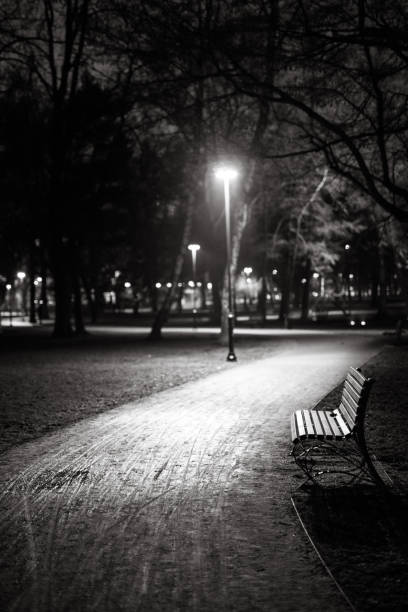 A park bench sits in the shadows of a street light.