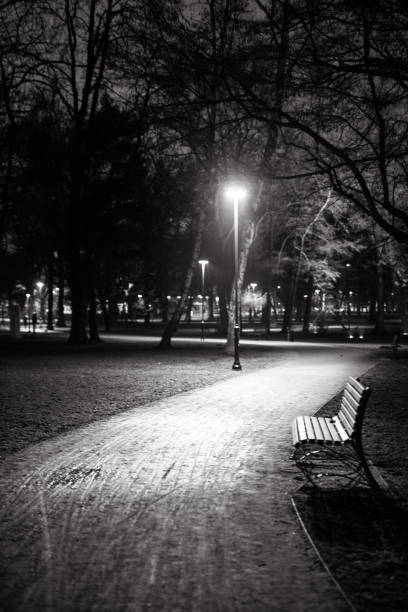 istock Bench in park in Cracov, night, black and white 1128433699