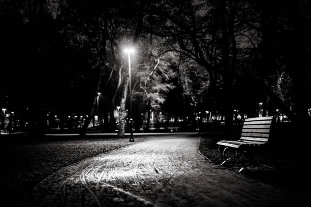 istock Bench in park in Cracov, night, black and white 1128433750
